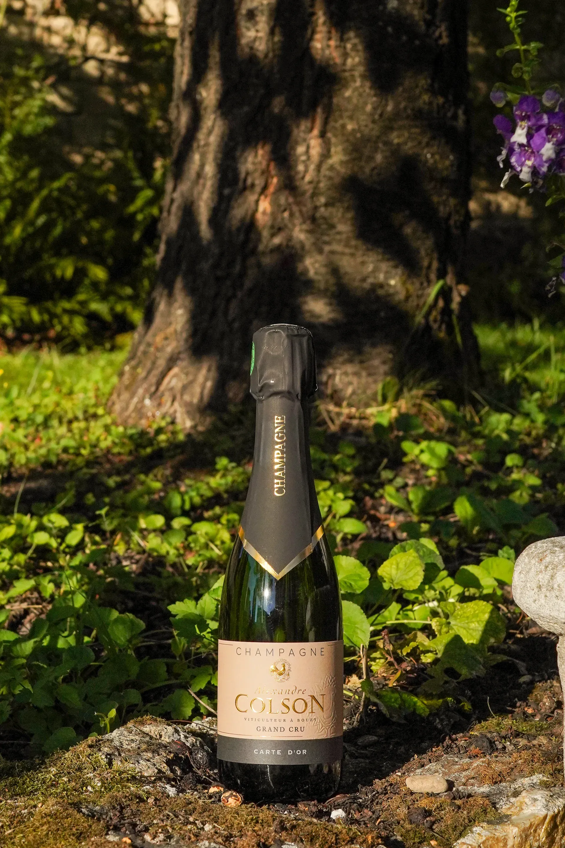 Brut Carte d'Or
