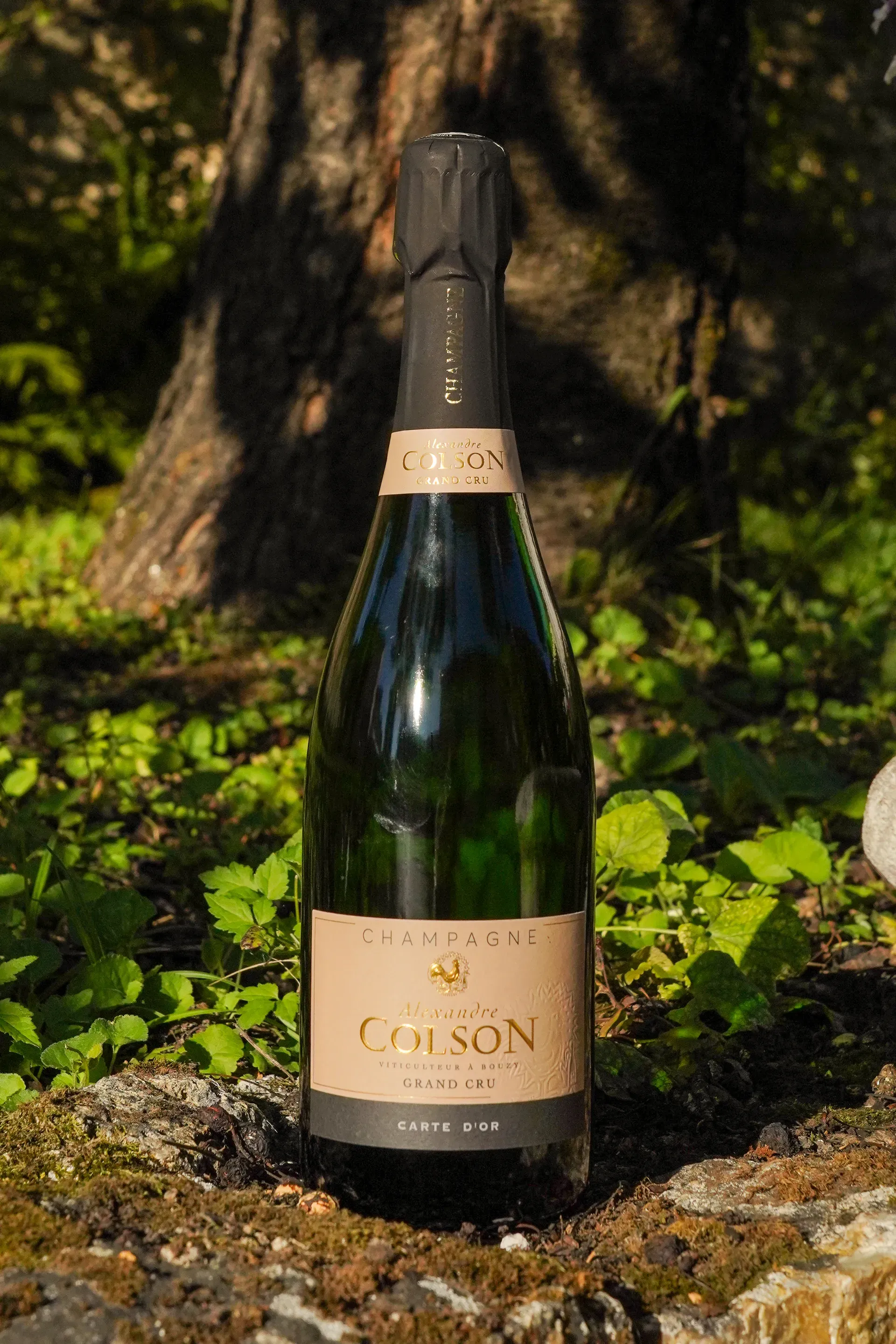 Brut Carte d'Or